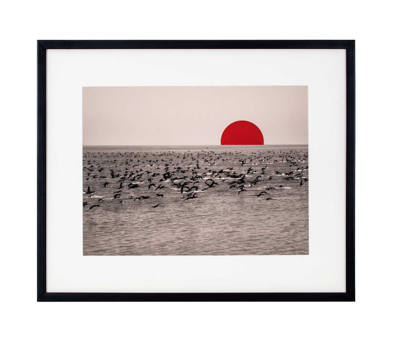 Red semicircle on black and white photo of cormorants landing in sea.