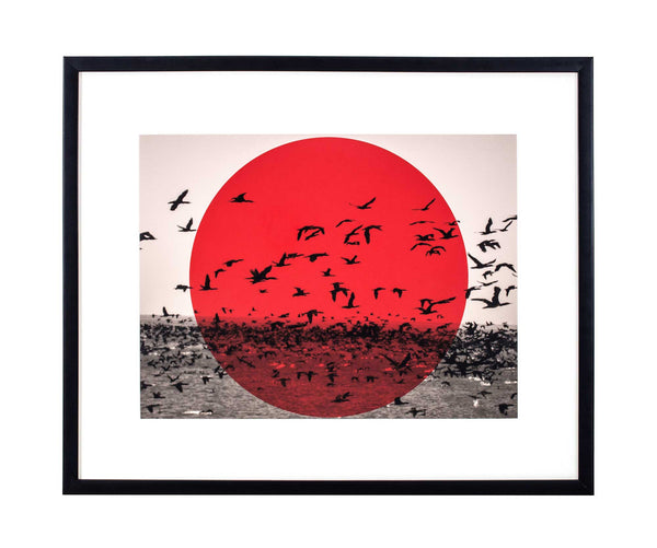 Large red circle on black and white photo of cormorants flying over sea.