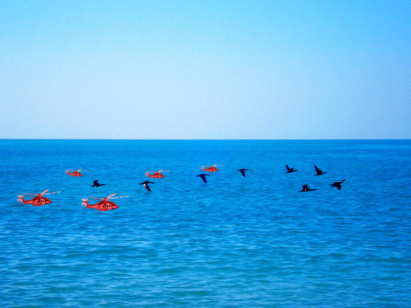 7 cormorants flying over the sea. 5 small red aeroplanes flying over the sea.