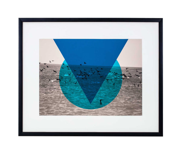 Turquoise circle and marine blue triangle overlaying black and white photo of cormorants landing in sea.