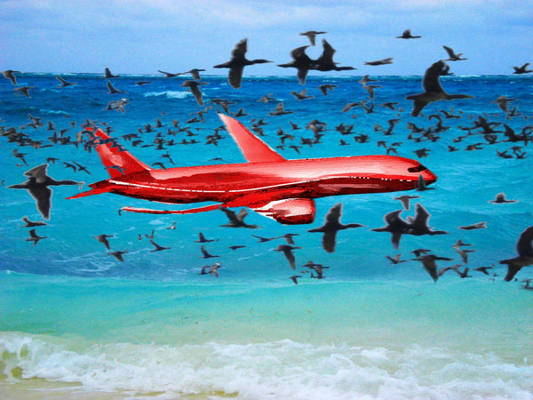 Cormorants flying over sea. One large red aeroplane in foreground.