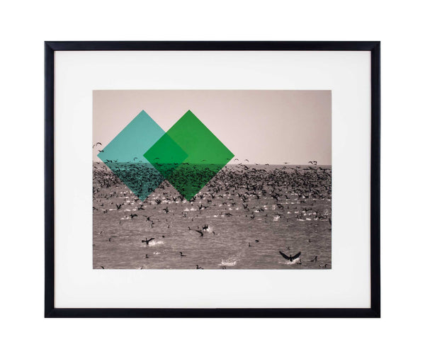 Green rhombus and turquoise rhombus on black and white photo of cormorants flying over sea.