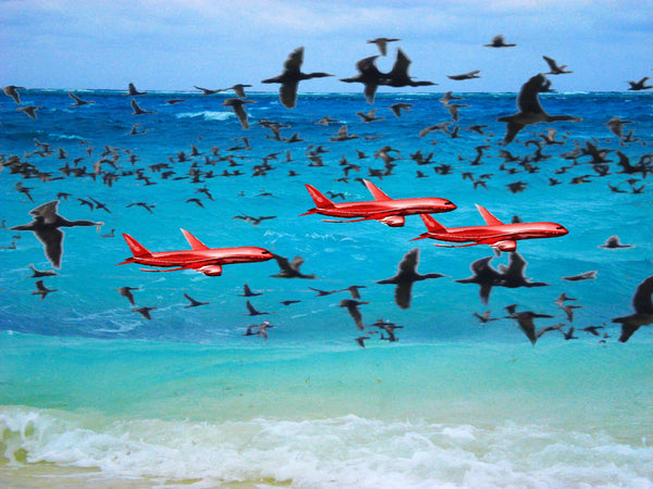 Cormorants flying over sea. Three red aeroplanes in midground.