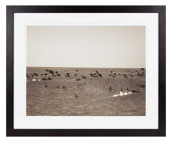 Cormorants flying over the sea with fleck of waves. Sepia print.