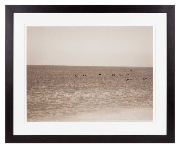 8 cormorants flying over the sea in foreground. Sepia print.