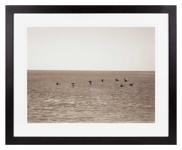 Sepia print. 8 cormorants flying over the sea.